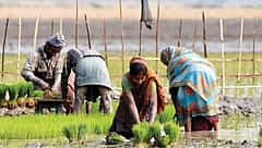 2027 ರೊಳಗೆ ದೇಶದ 11 ಕೋಟಿ ರೈತರಿಗೆ ಆಧಾರ್ ನಂತೆ 'ಡಿಜಿಟಲ್ ಐಡಿ' ಕಾರ್ಡ್